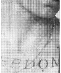 NEW BRAND | トップス