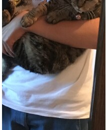 さくらちゃん | その他