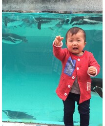 ぺんぎんと☻ | その他