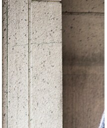 第五系 | その他