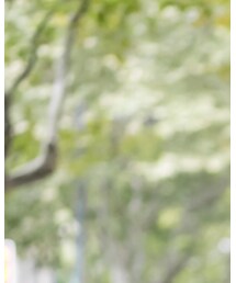 第五系 | その他