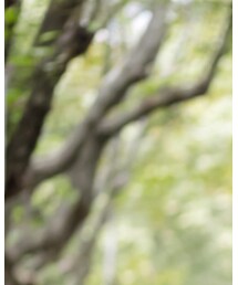 第五系 | その他