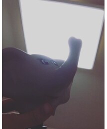 ぞう | おもちゃ