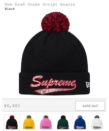 Supreme  | ニットキャップ/ビーニー