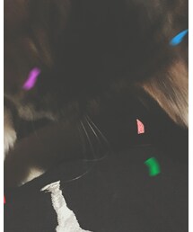 AIR JORDAN | チノパンツ