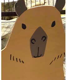 ？ | 日本平動物園にあったカピバラの…あのあれ。(その他)