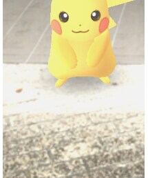 ピカチュウ | その他