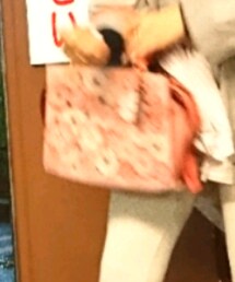 COACH | ハンドバッグ