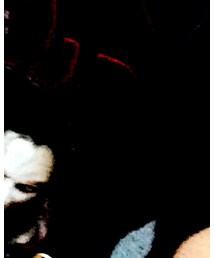 ozzy | Tシャツ/カットソー