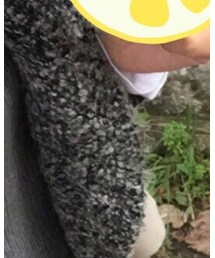 LOWRYS FARM | ピーコート