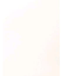 韓国子供服 | Tシャツ/カットソー