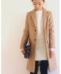 Inpaichthys kerri | チェスターコート