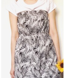 Inpaichthys kerri | ワンピース