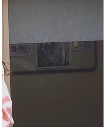 雑貨屋 | メガネ