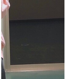 Champion | スウェット