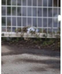 VINTAGE | デニムパンツ