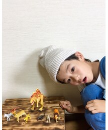 🐯🐴🦁 | 👦🏻と🐻🙈🐮🐯🐷(その他)