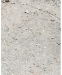 DENIM DUNGAREE | その他パンツ