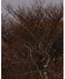 OUTDOOR RESEARCH | ニットキャップ/ビーニー