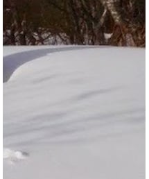 テラノバ | ボディバッグ/ウエストポーチ