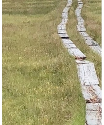 Z packs | ボディバッグ/ウエストポーチ