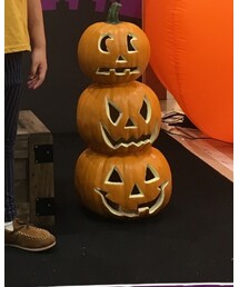 UNIQLO | その他パンツ