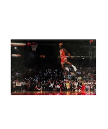 Michael Jordan | ポスター/アート