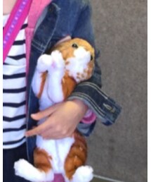 サンタさんからのプレゼント | その他