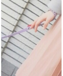 犬のリード | ペットウェア