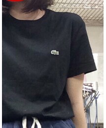 LACOSTE | Tシャツ/カットソー