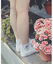 adidas | ソックス/靴下