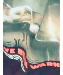 GU | スウェット