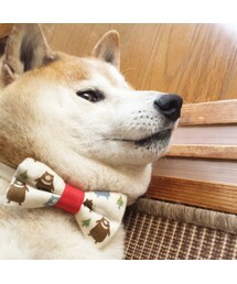 コロ様☆(その他)