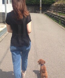 ZARA | クロ透けトップス(シャツ/ブラウス)