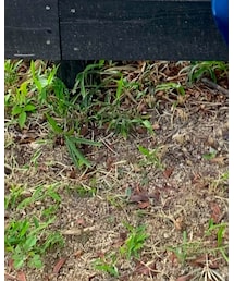 Coca Cola | その他