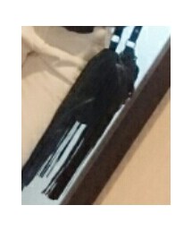 ZARA | ショルダーバッグ