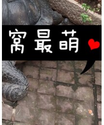 C& A | デニムパンツ