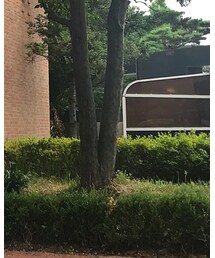 thisisneverthat | その他パンツ