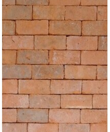 YELLOWS PLUS | メガネ