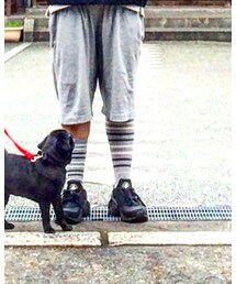 HANES | ソックス/靴下