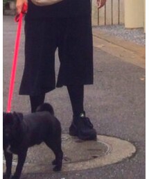 HANES | ソックス/靴下