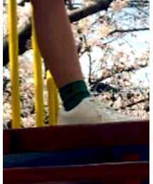 WEGO | ソックス/靴下