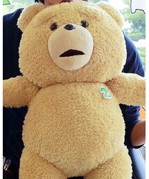 TED | その他雑貨