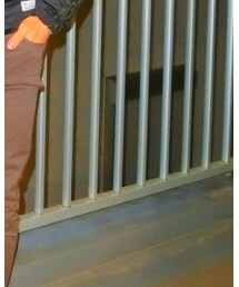 AZUL by moussy | パンツ