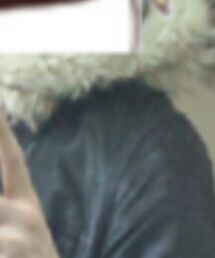 何かのフード | ファッション雑貨