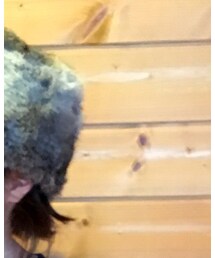 BEAUTY&YOUTH UNITED ARROWS | 帽子