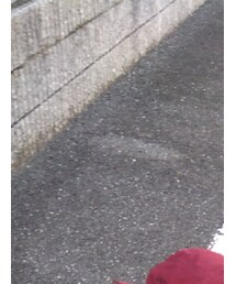 CIAOPANIC TYPY | キャップ