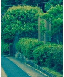 PUERTA DEL SOL | ネックレス