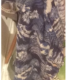 Canterbury | シャツ/ブラウス