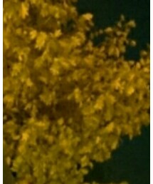 niko and... | メガネ